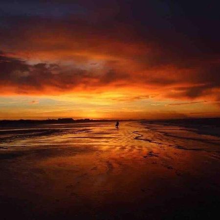 Face A La Mer, Appartement Rdc Bray Dunes Eksteriør bilde