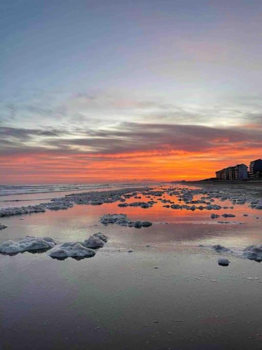 Face A La Mer, Appartement Rdc Bray Dunes Eksteriør bilde